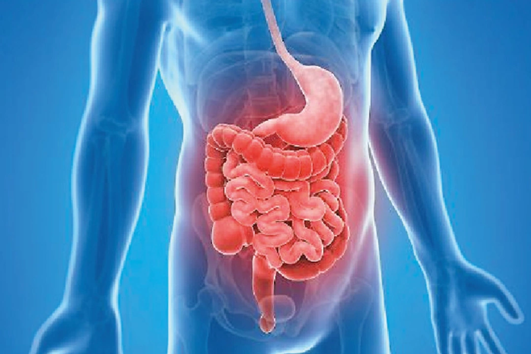 Ischemia and Gastrointestinal Health: What You Need to Know